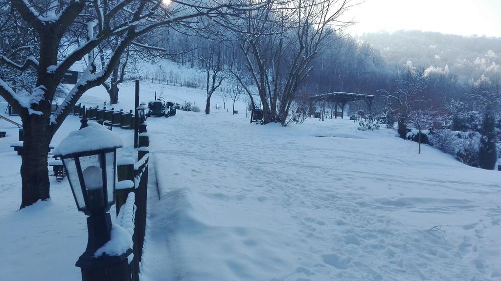 Chata Nad Sztolnia Bystrzyca Górna 외부 사진